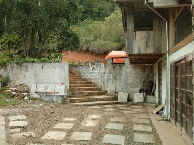 Sitio no Moura - Foto 3