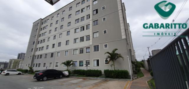 Apartamento à venda com 2 dormitórios em Pinheirinho, Curitiba cod:91116.001 - Foto 10