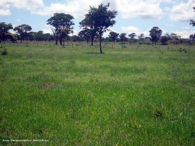 Terrenos de 5.000 metros $ 170.000 reais