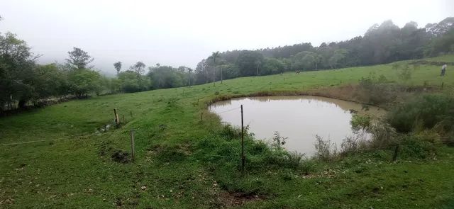 Chácara pronta,7,7 hectares valor 300,000,00 - Foto 2