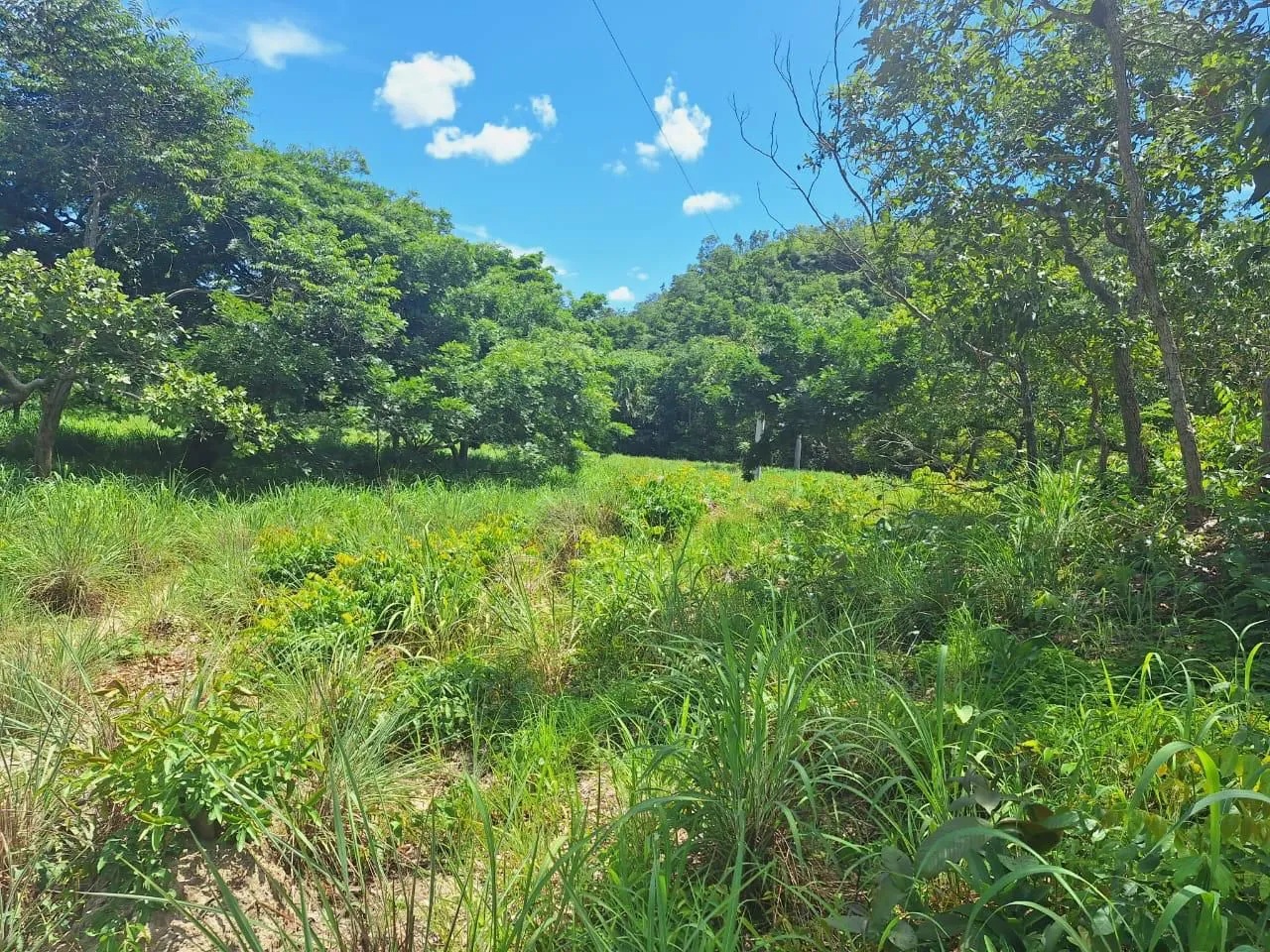 Fazenda em Lajeado-TO.