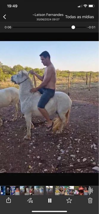 Pôneis três pôneis 2 fêmeas e um macho - Foto 2