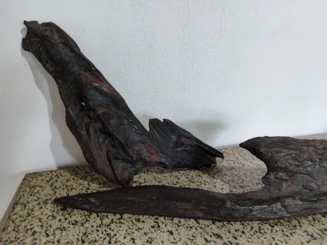 Escultura rara natural em madeira antiga submersa em leito de rio em formato de ferramenta - Foto 4