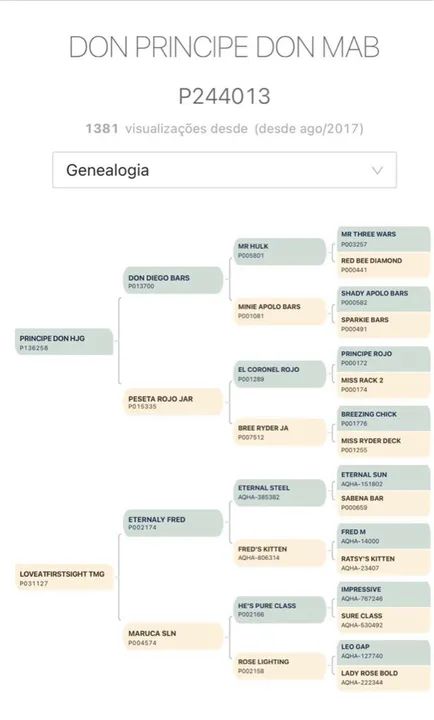 Cavalo de esquerda  - Foto 3