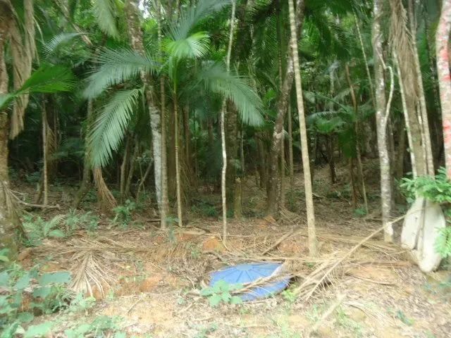 Terreno com cachoeira medindo 2 hectares  - Foto 10