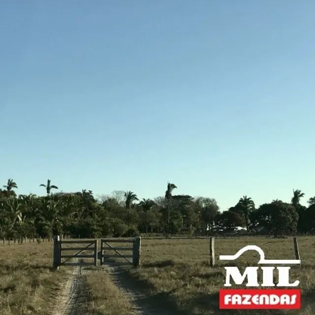Fazenda 1.465 Alq. (7.069 Há) Cocalinho - Mato Grosso - Foto 4