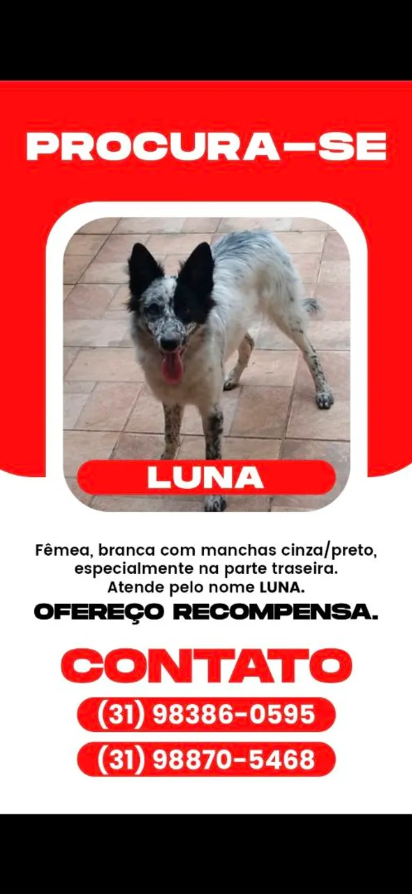 PROCURA-SE