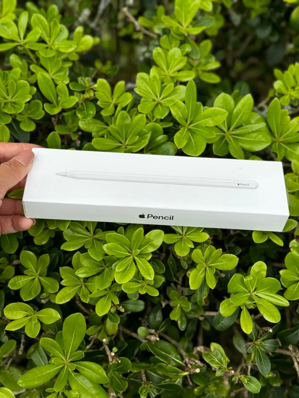 Apple Pencil