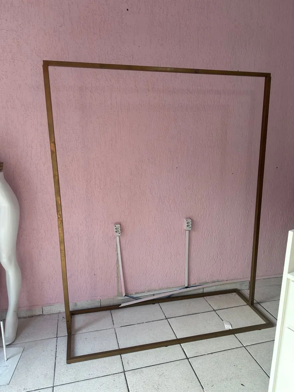Araras dourada  - Foto 2