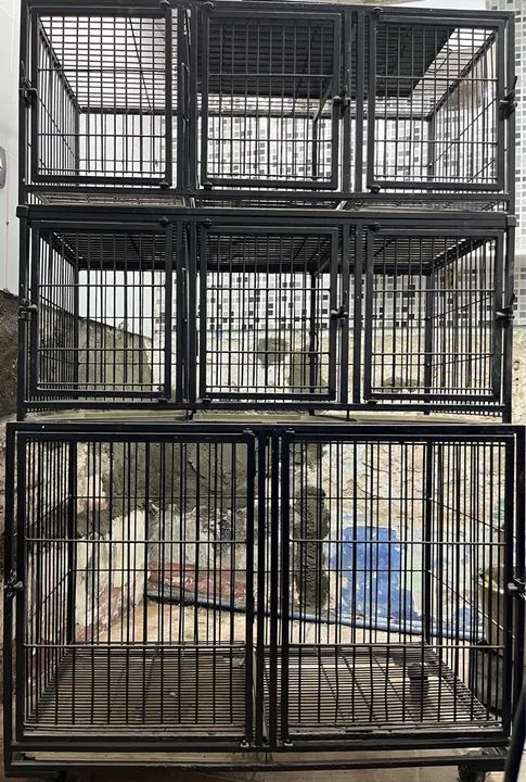 Gaiola para Cães Grande - 3 andares, 7 módulos 