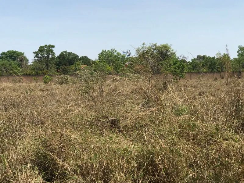 park way 20.000 m2 com ou sem área verde venda smpw 28