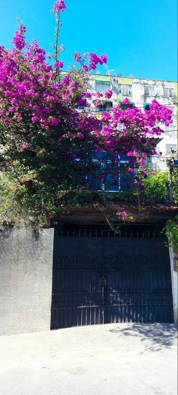 Foto - São Gonçalo - Neves (Neves)