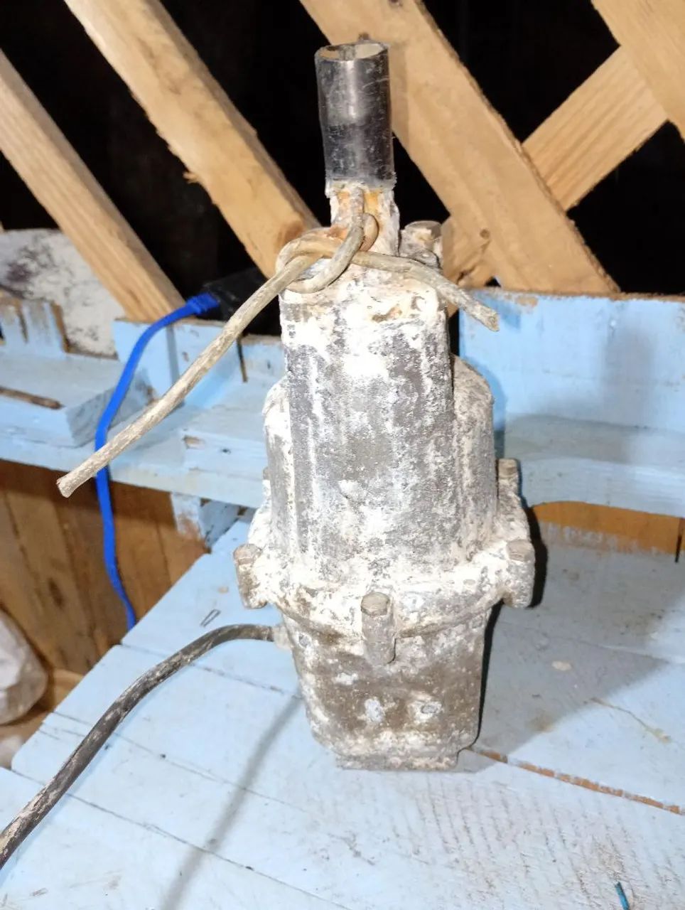 Bomba dapo64840843142913121