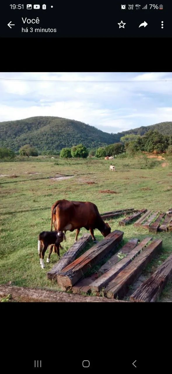 Vendo Sítio Nova Iguaçu  - Foto 2