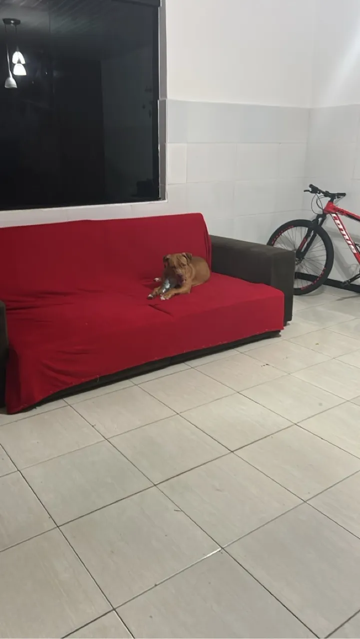 Alugo casa Capela para São Pedro