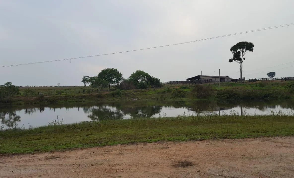 Fazenda 12.00 hect em Juína MT. 4 mil abertos 350 milhões. - Foto 3