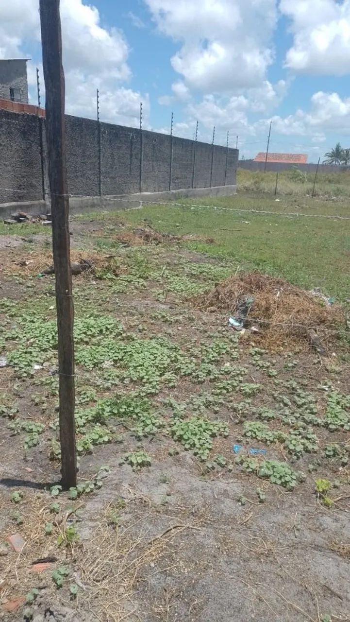 Vendo lotes 12x30 planos próximo do Francês  - Foto 6