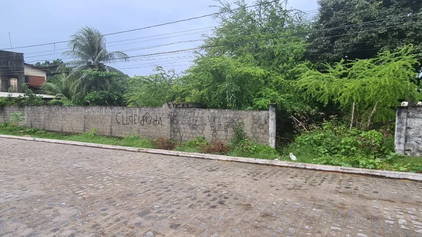 LOTES NO JARDIM CAMBOINHA - 960m2 - Rua Calçada.