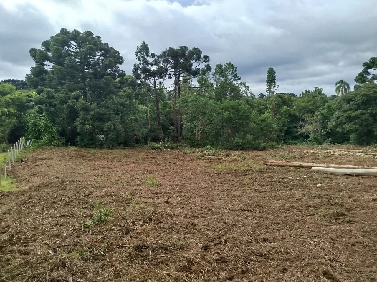 Chácara com tanque de peixe em quitandinha  - Foto 4