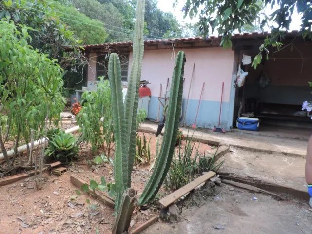 ? Rancho à Beira do Rio Quebra Anzol - O Refúgio dos Seus Sonhos! ?