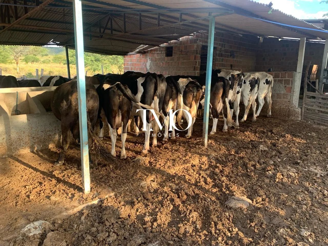 Fazenda em Iati Pernambuco - Foto 5