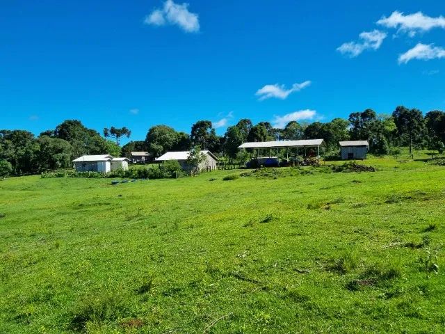 Sítio 5 alqueires em Pinhão/PR - Distrito de Bom Retiro