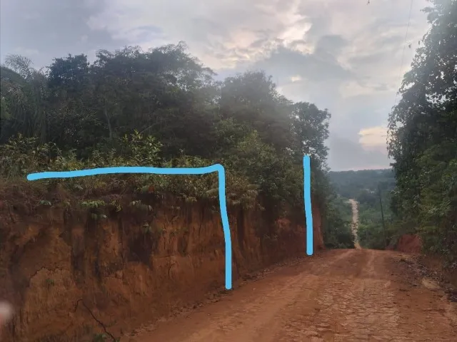 Terreno
