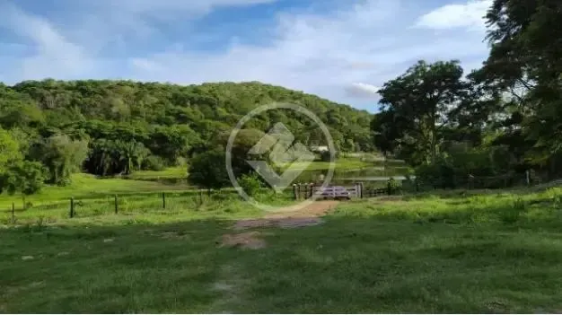 Fazenda 406 alqueires toda na pecuária formada toda no corredor codigo: 106394
