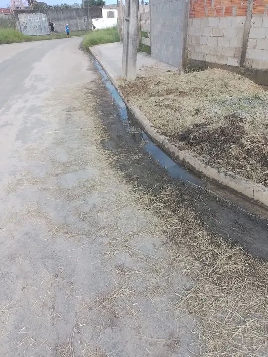 Limpeza de terrenos e jardins  - Foto 2
