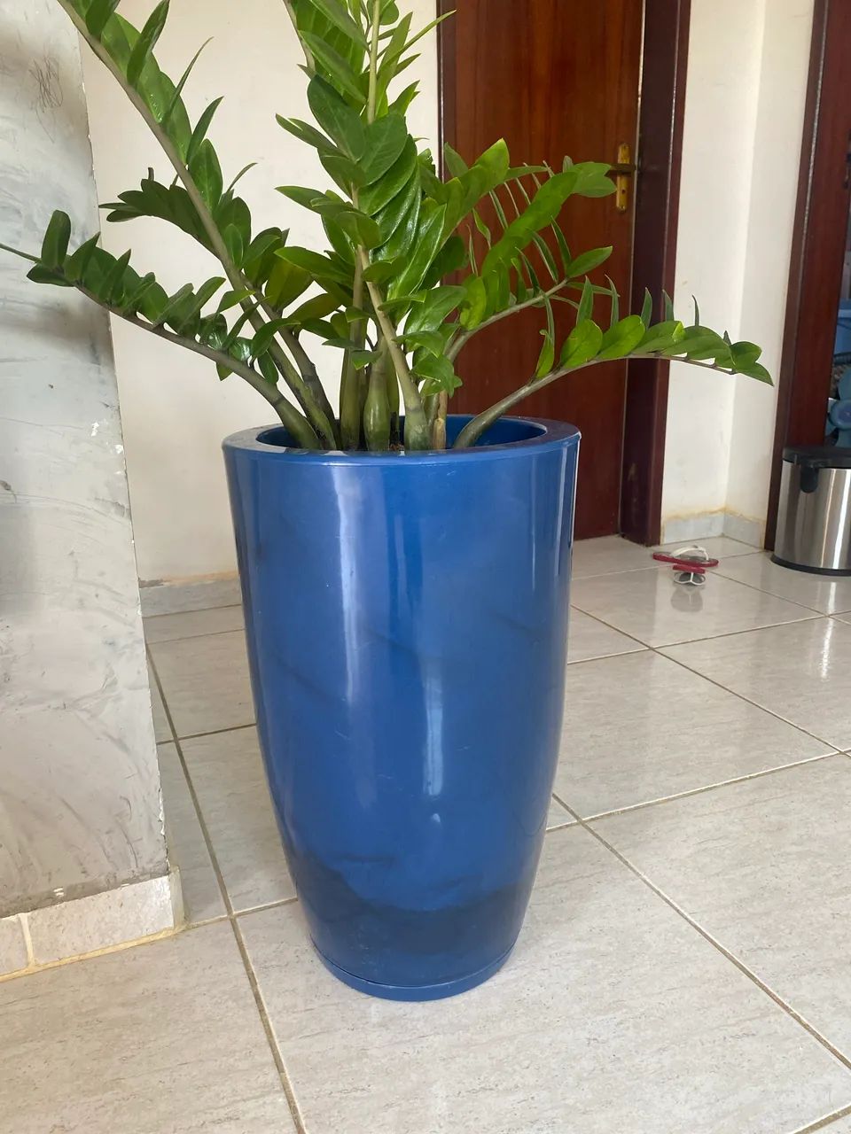 Vasos  - Foto 2