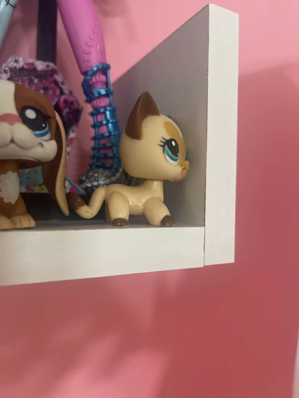 lps gatinho - Foto 2