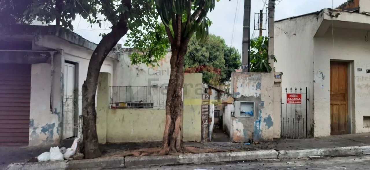 Terreno região Vila Gustavo 650m² - Foto 2