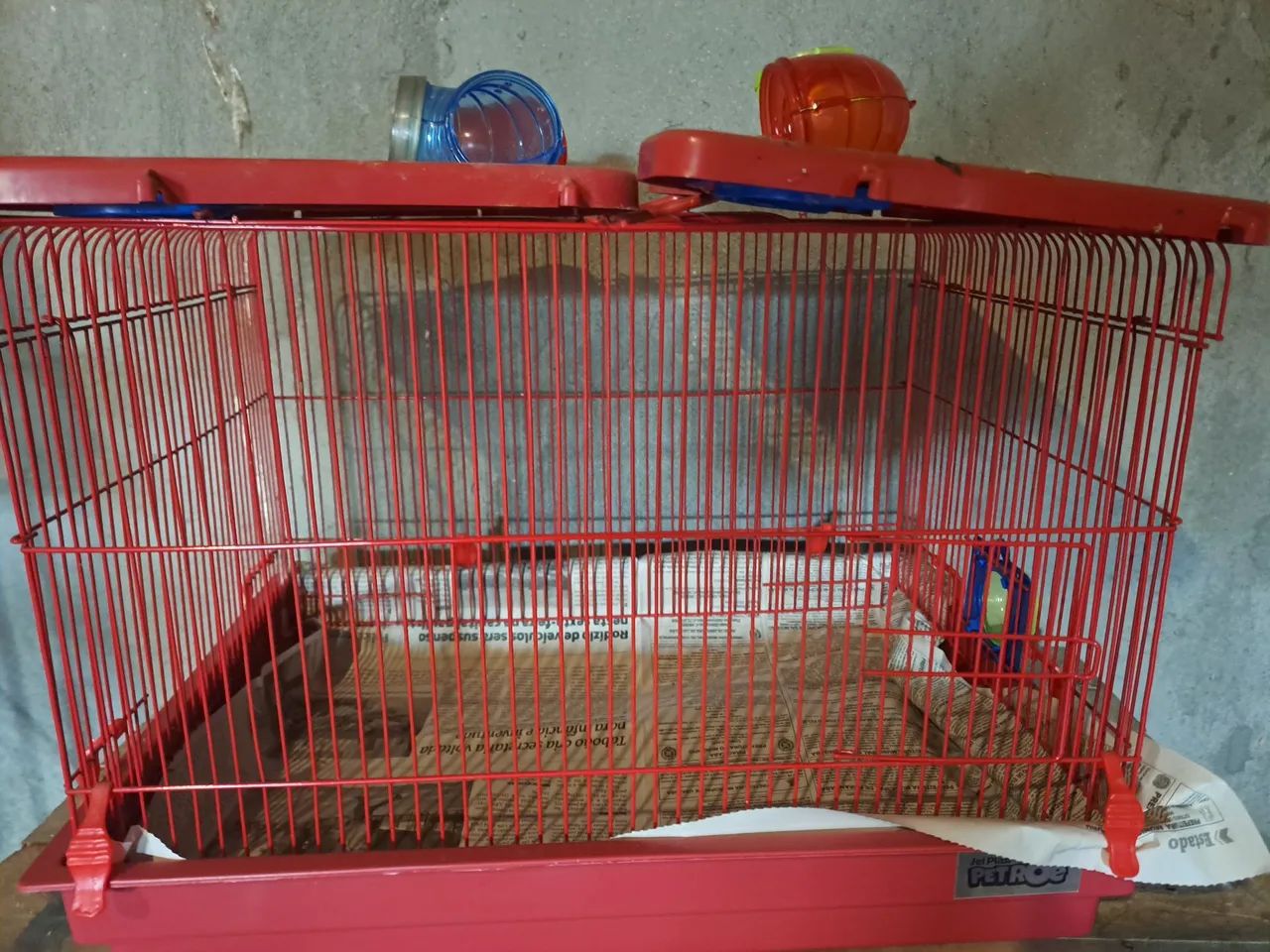 Gaiola Hamister novinha 