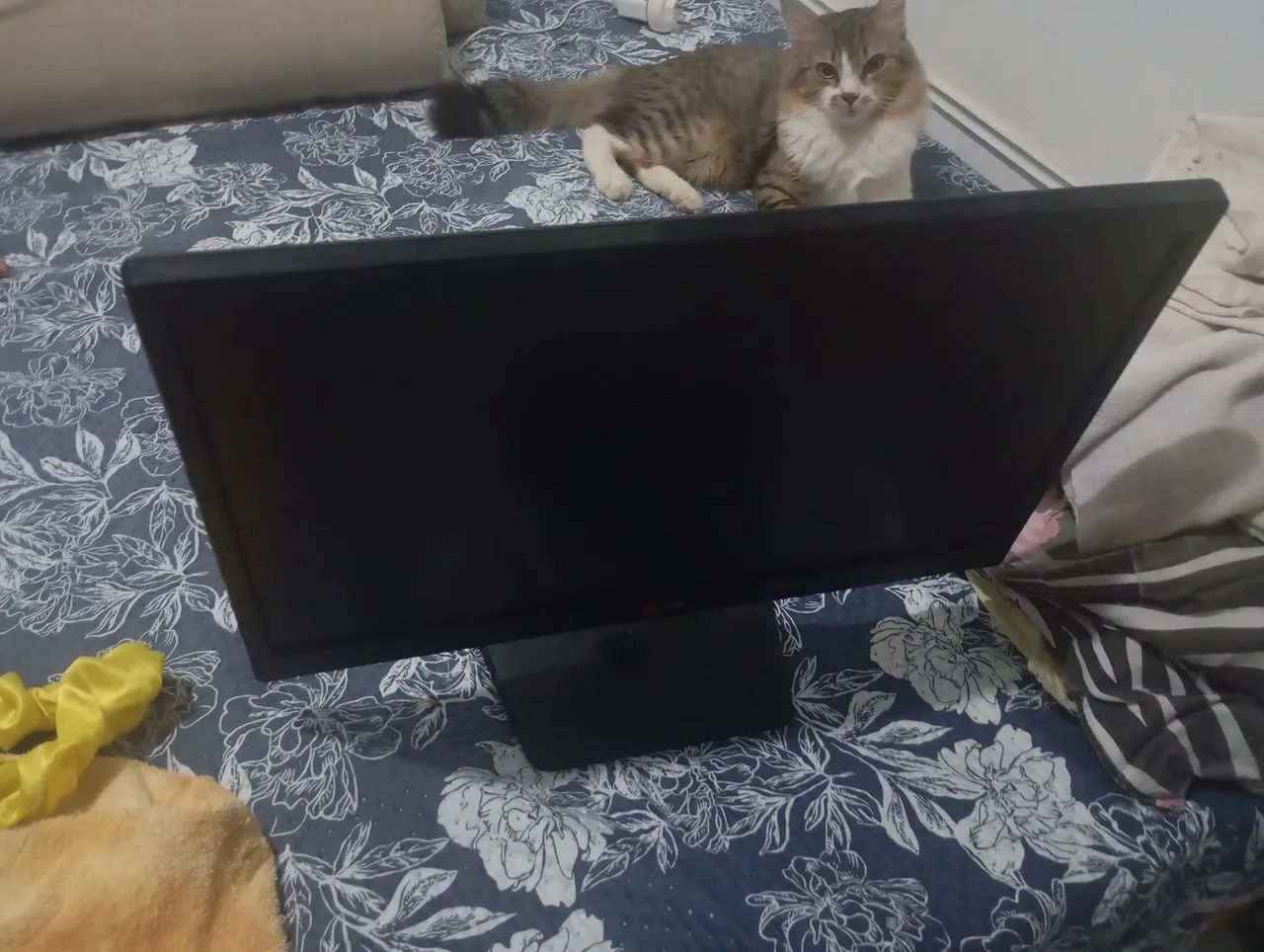 Monitor LG 
