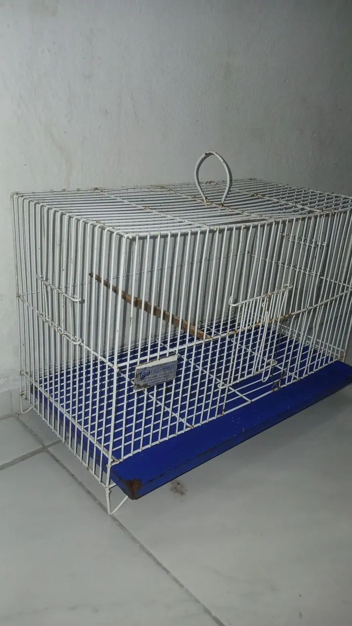 Gaiola - Foto 3