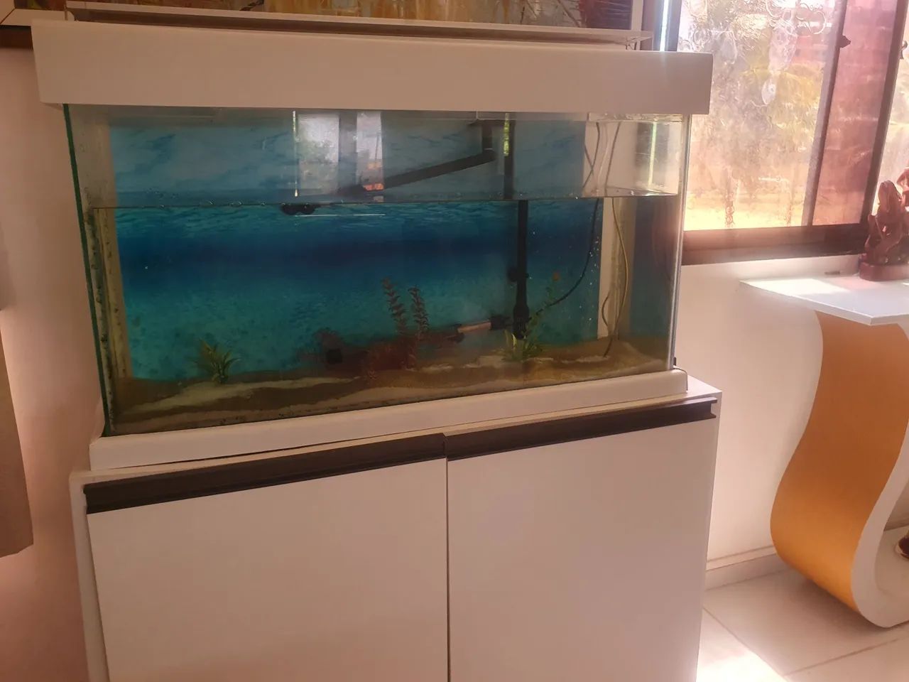 Aquário completo  - Foto 4