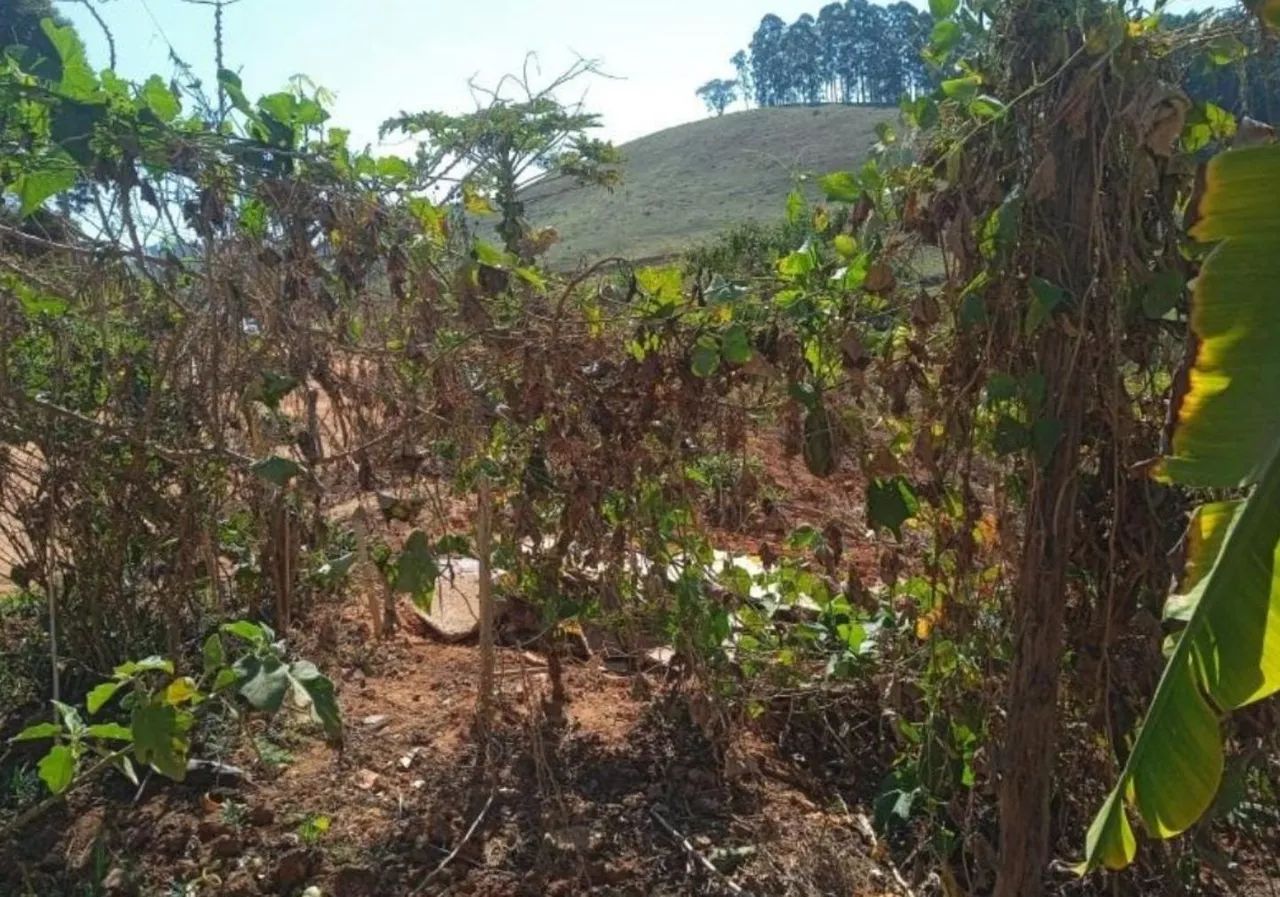 Chácara em Viçosa, ( Minas Gerais).  - Foto 3