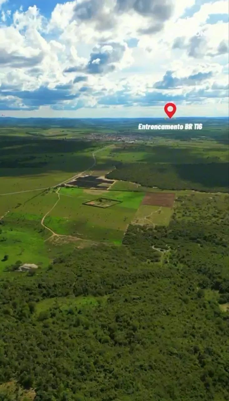 Fazenda 320 hectares (Documentada) toda no pasto e plana  - Foto 4