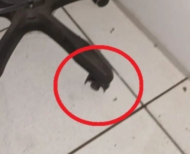 Cadeira com Rodinhas - Não Entrego. - Foto 3
