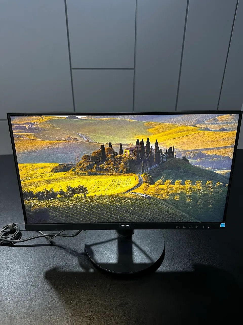 Monitor Philips 22 Polegadas 