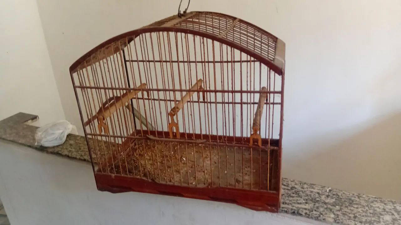 Vendo gaiola de passarinho 