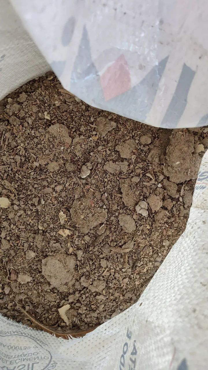 Esterco adubo cama de galinha curtido 