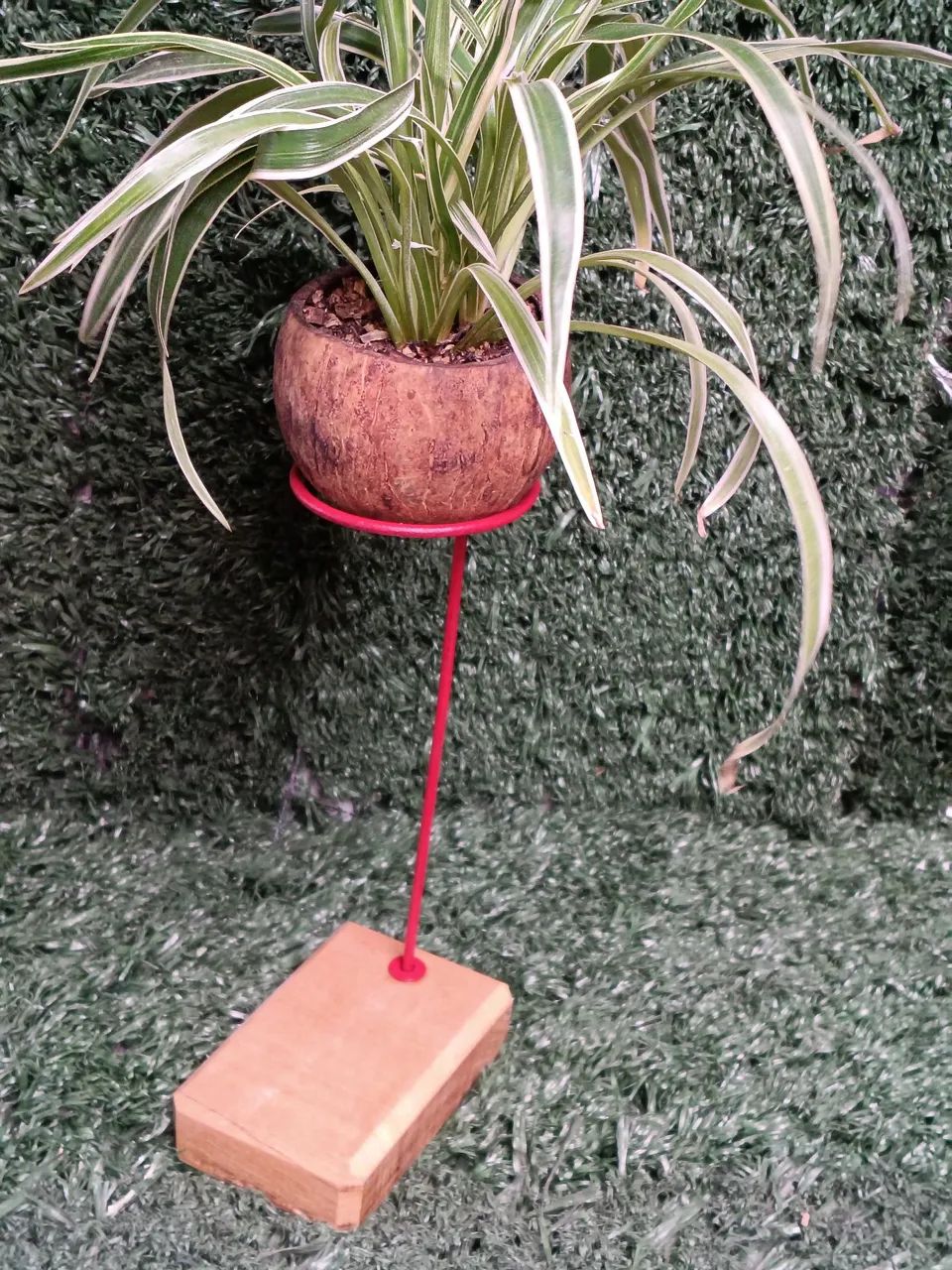 Suporte para Kokedamas em madeira maciça e ferro.