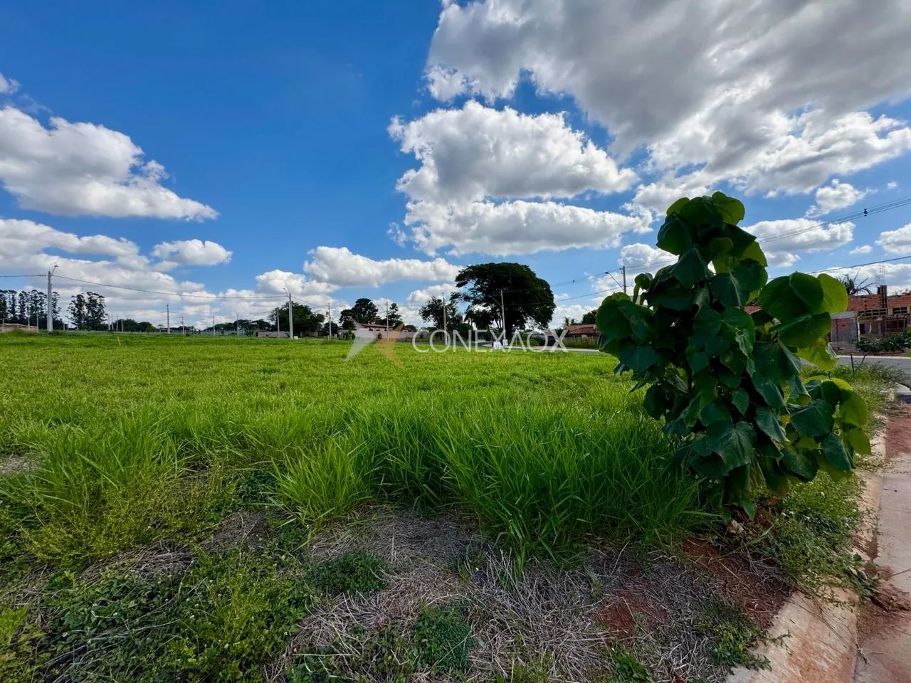 terreno - Boa Esperança - Paulínia - Foto 4