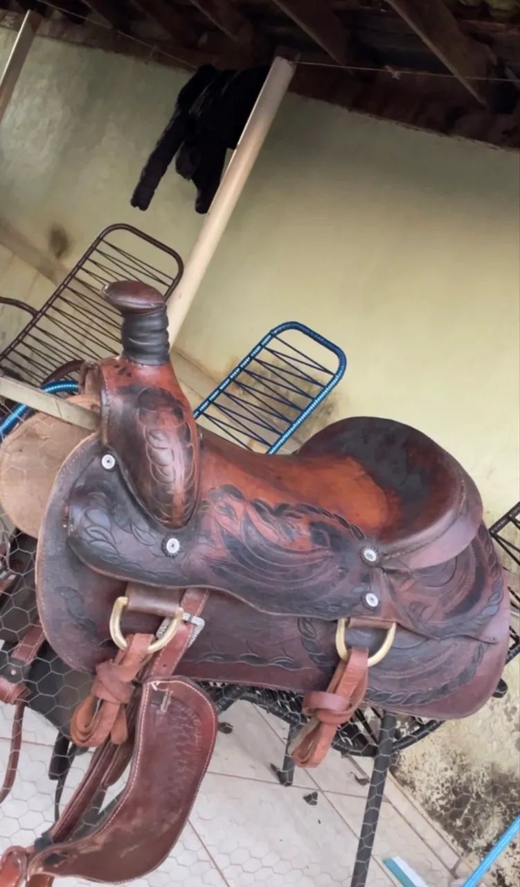 Sela de laço 