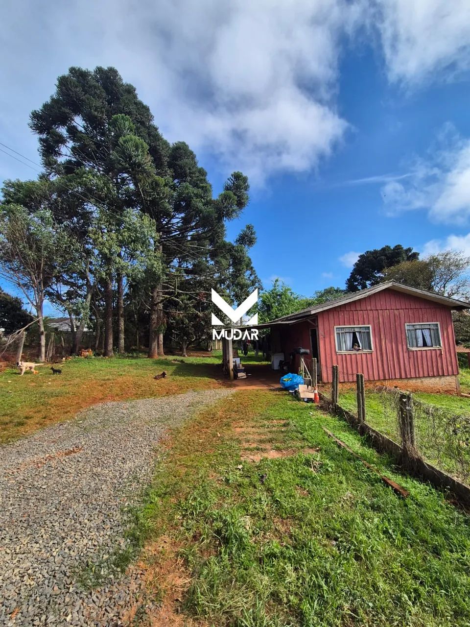 Terreno com 1.838m2 na Colônia Santa Luiza - Foto 4