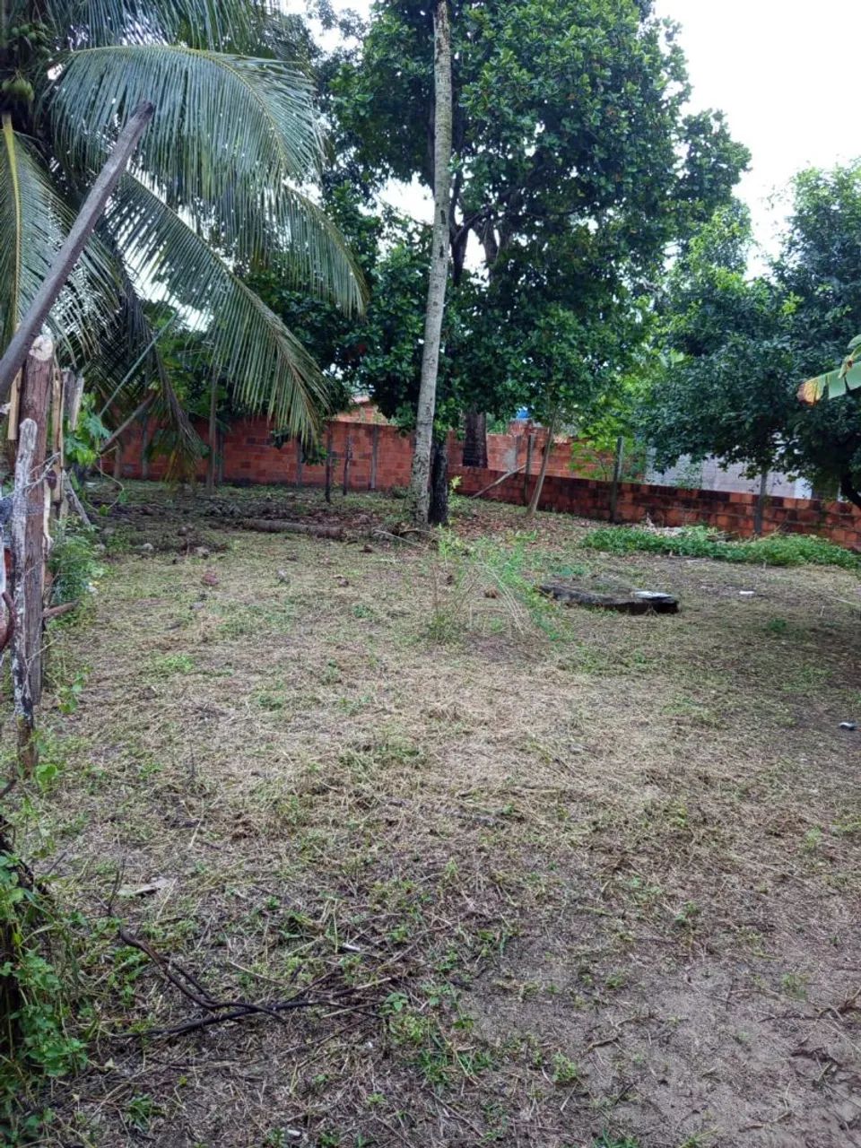 Vendo casa povo. flecheiras, santo Amaro das brotas - Foto 3