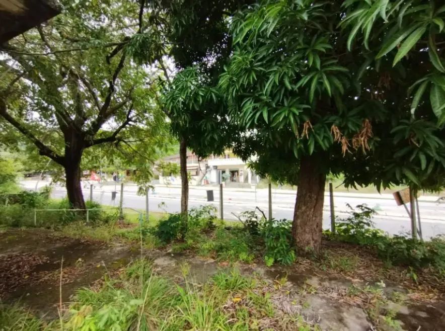 Lote para Venda em Cabo de Santo Agostinho - Foto 3