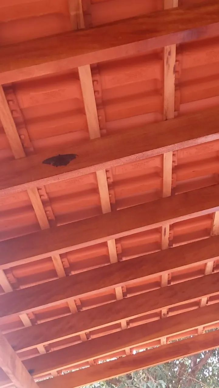 Chácara com casa de 4 quarto 3 banheiro em Paranacity PR oportunidade!!!  - Foto 2