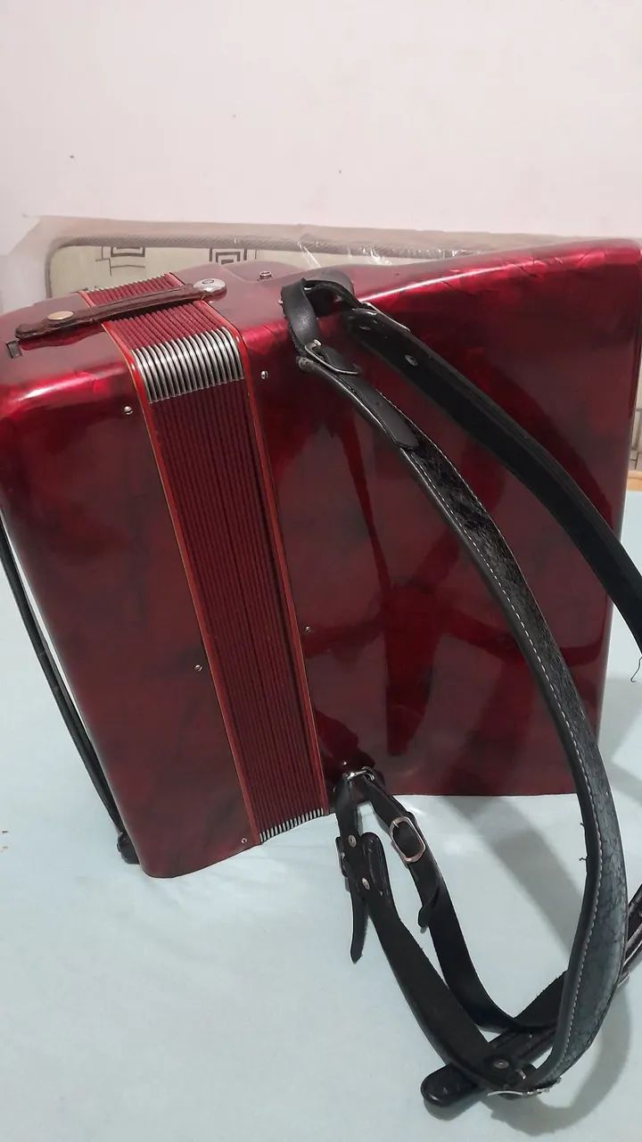 Vendo acordeon todeschini  - Foto 3